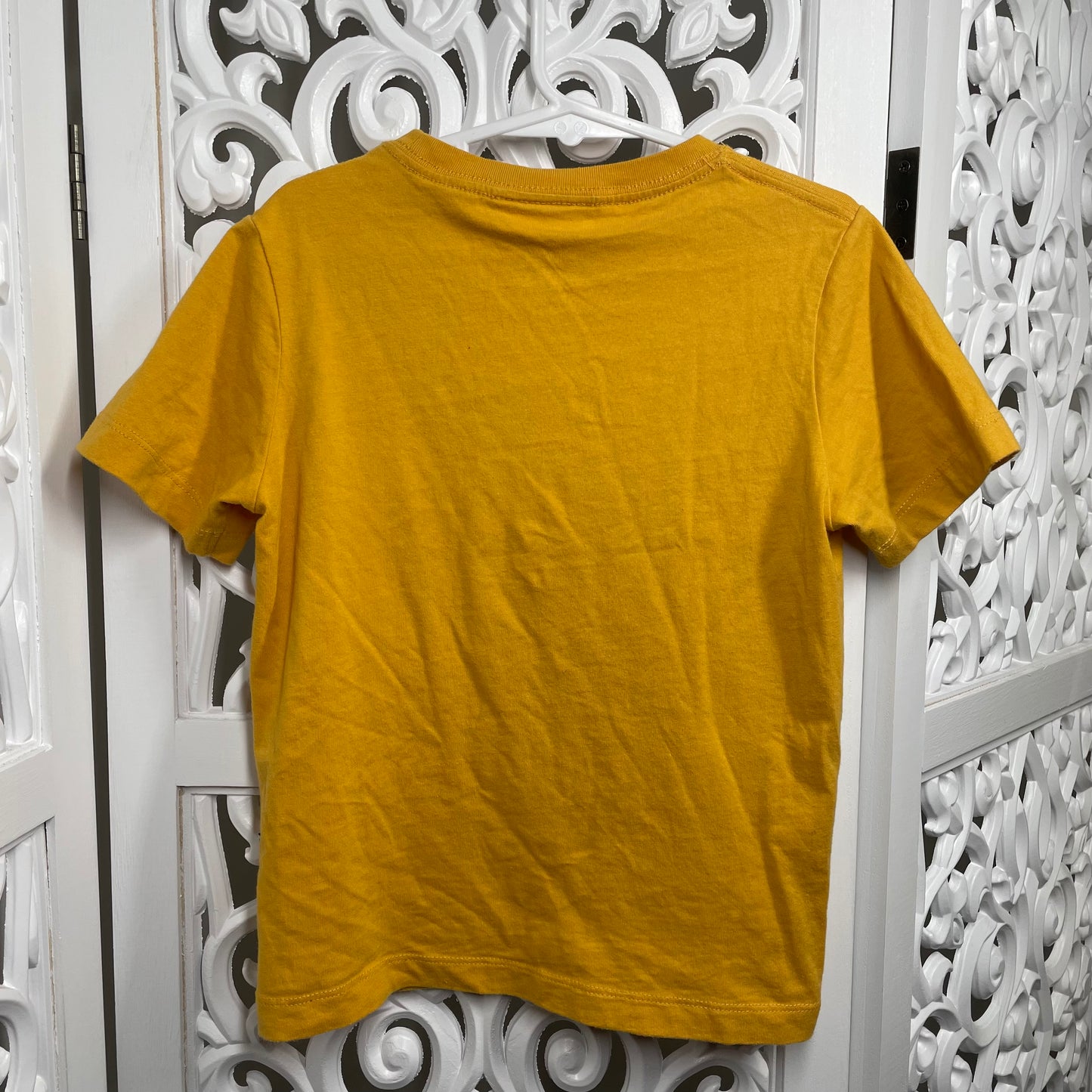 Minti Boys Tshirt Size 4