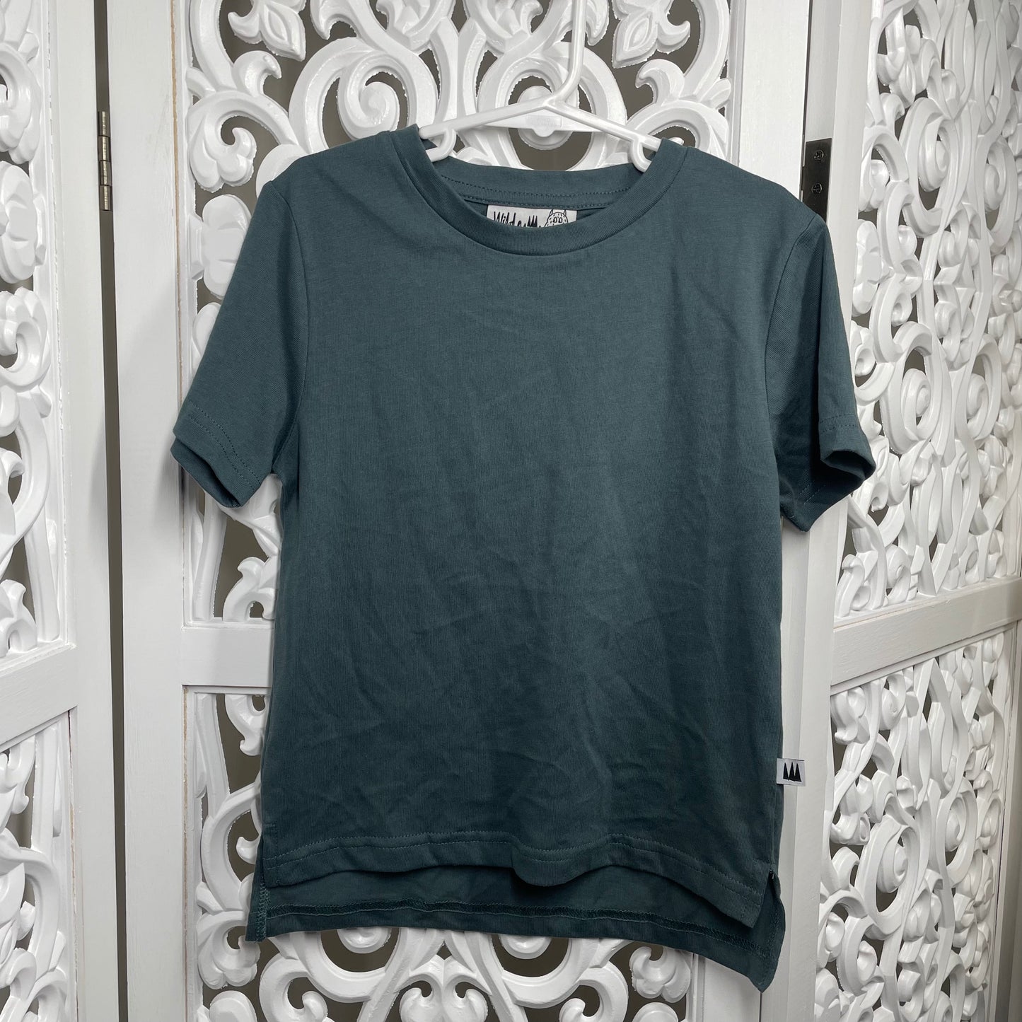 Wild and Mini (Minti) Boys Tshirt Size 4