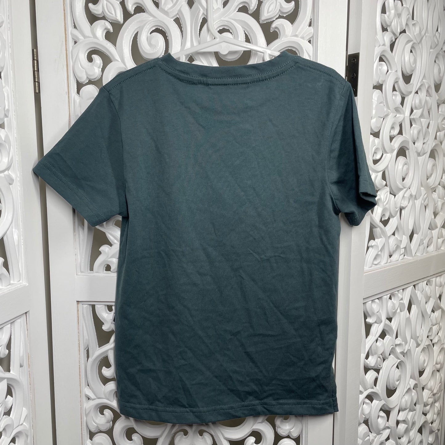 Wild and Mini (Minti) Boys Tshirt Size 4