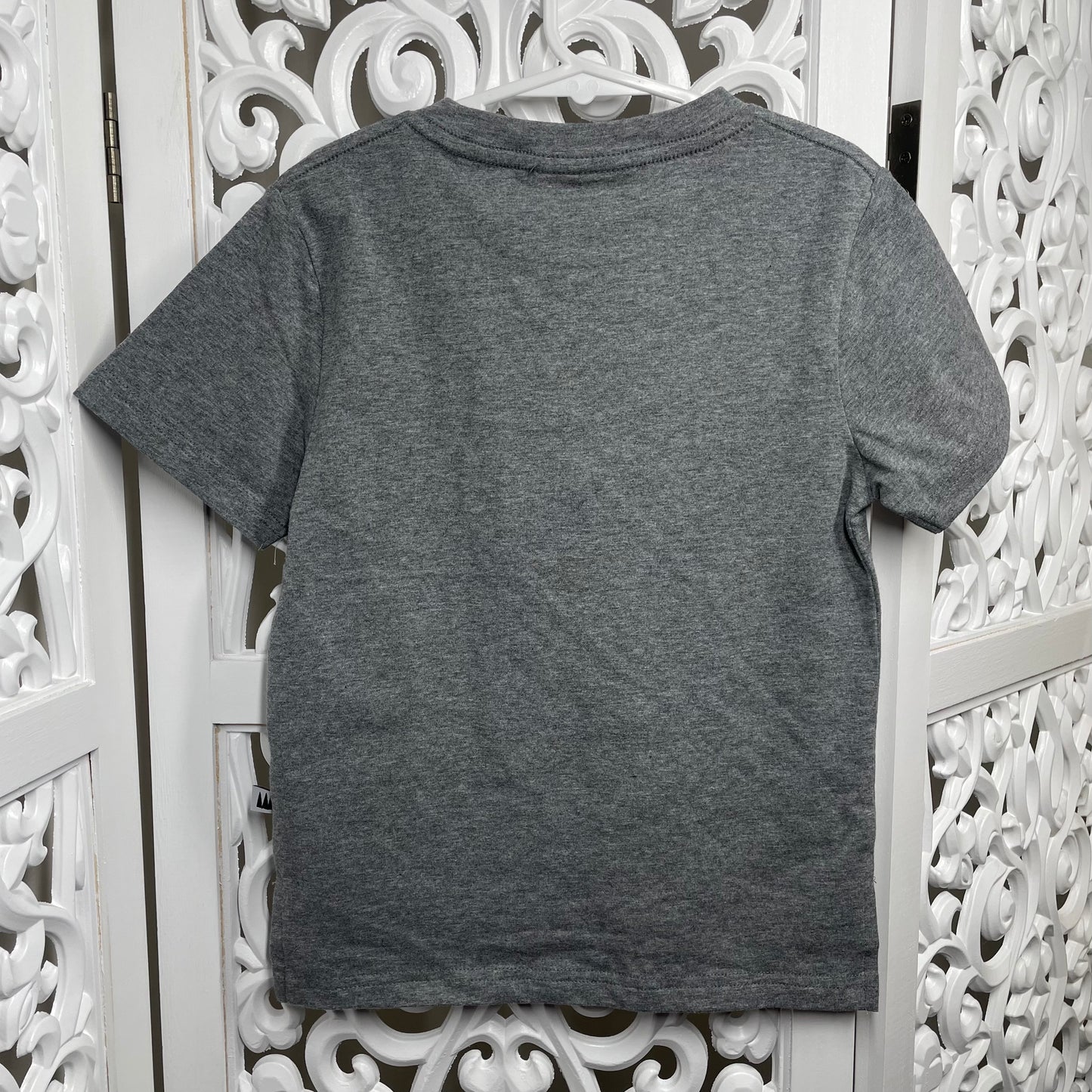 Wild and Mini (Minti) Boys Tshirt Size 4